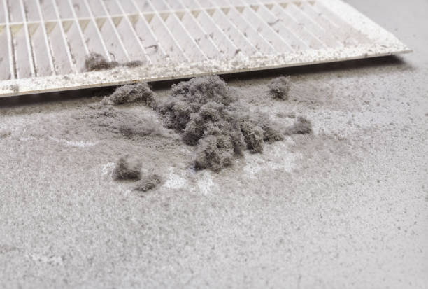Best Residential Air Duct Cleaning  in Lake Camelot, IL
