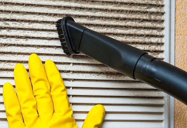 Best Dryer Vent Cleaning Services  in Lake Camelot, IL
