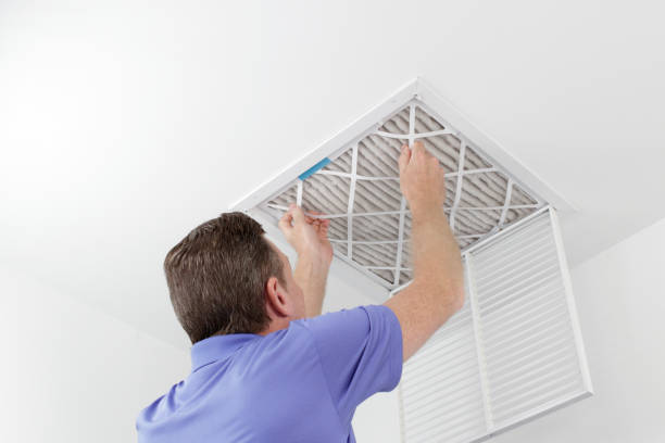 Best Air Duct Sanitizing Services  in Lake Camelot, IL